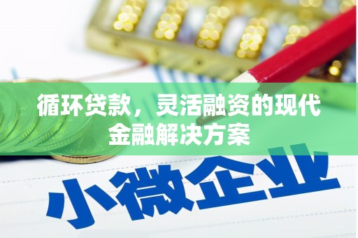 岫岩循环贷款，灵活融资的现代金融解决方案