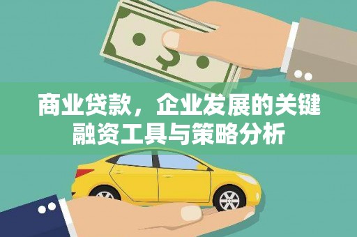 沙洋商业贷款，企业发展的关键融资工具与策略分析