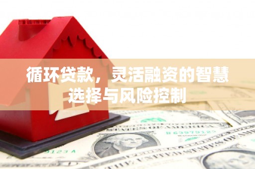 叶城循环贷款，灵活融资的智慧选择与风险控制