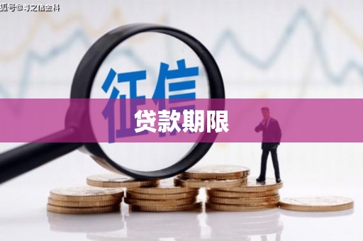 道里贷款期限