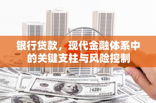 泸西银行贷款，现代金融体系中的关键支柱与风险控制