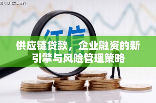 大武供应链贷款，企业融资的新引擎与风险管理策略