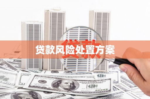 北市贷款风险处置方案