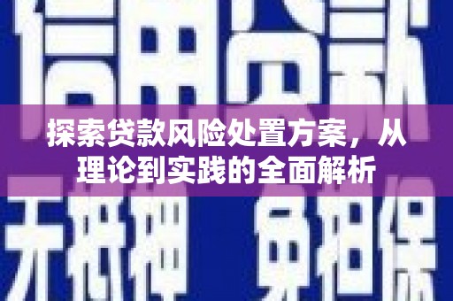宁安探索贷款风险处置方案，从理论到实践的全面解析