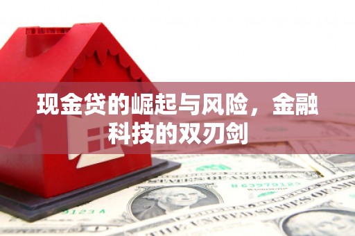 龙井现金贷的崛起与风险，金融科技的双刃剑