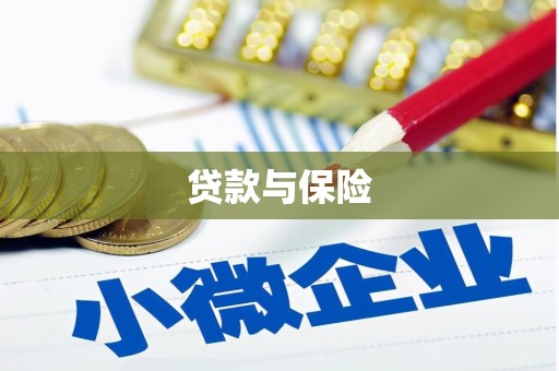 东山贷款与保险