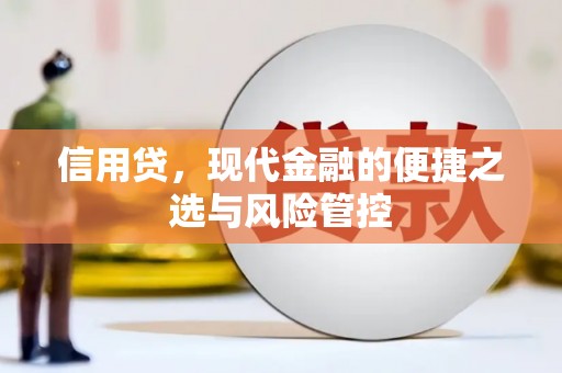 宁海信用贷，现代金融的便捷之选与风险管控