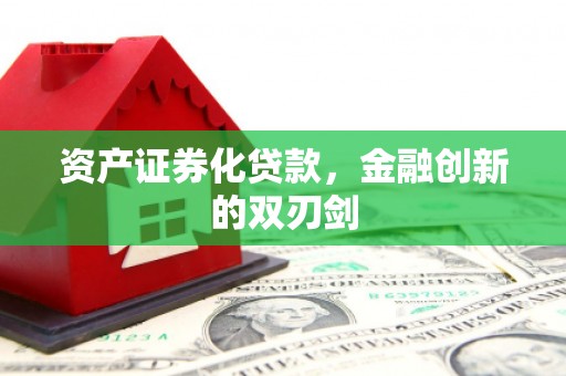 仁布资产证券化贷款，金融创新的双刃剑