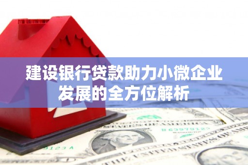 北塘建设银行贷款助力小微企业发展的全方位解析