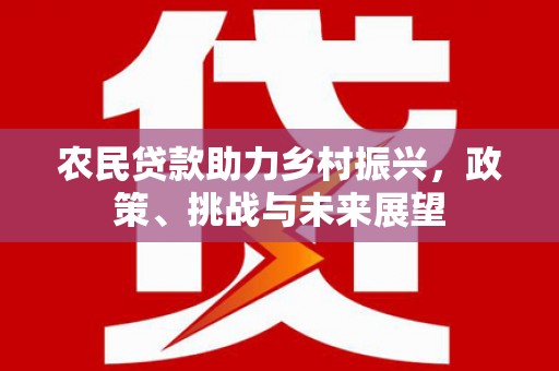 六龟农民贷款助力乡村振兴，政策、挑战与未来展望