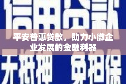 博湖平安普惠贷款，助力小微企业发展的金融利器