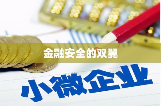 怀化金融安全的双翼