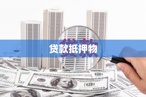 柯坪贷款抵押物