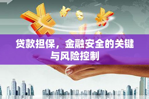 中卫贷款担保，金融安全的关键与风险控制