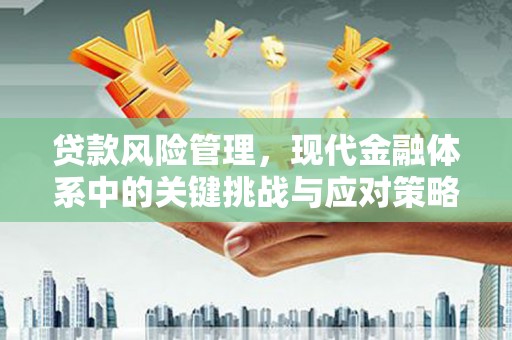 麟洛贷款风险管理，现代金融体系中的关键挑战与应对策略