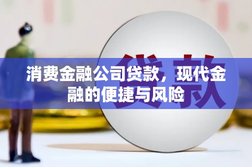 庆元消费金融公司贷款，现代金融的便捷与风险