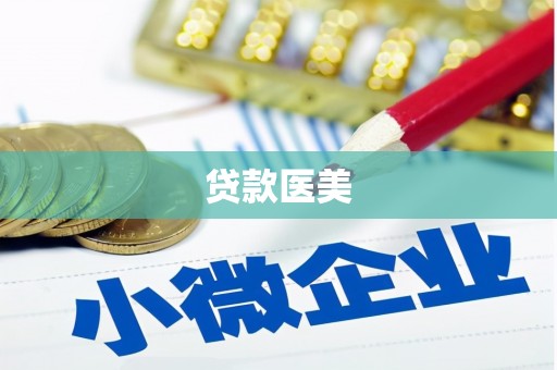 蒲县贷款医美