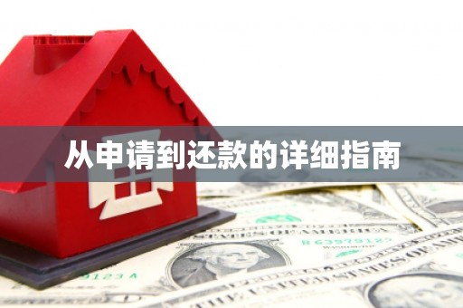 安仁从申请到还款的详细指南