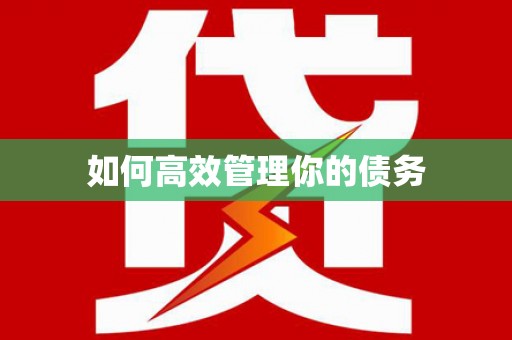 大名如何高效管理你的债务