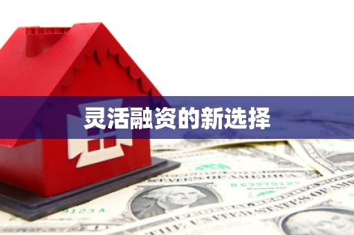 灞桥灵活融资的新选择