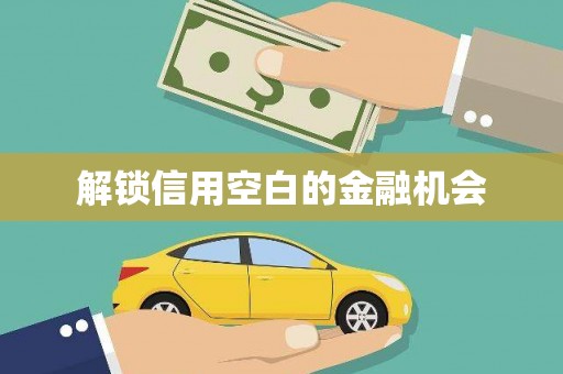 中和解锁信用空白的金融机会