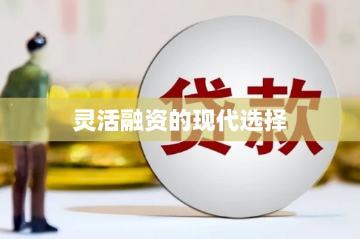 长洲灵活融资的现代选择