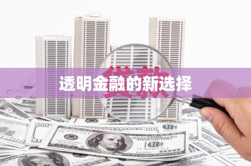 勐海透明金融的新选择