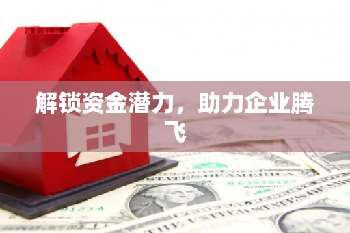 丰宁解锁资金潜力，助力企业腾飞