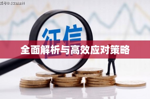 西海岸全面解析与高效应对策略